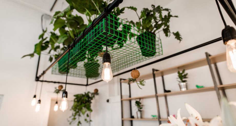 Rezeption, &copy; Pyjama Park