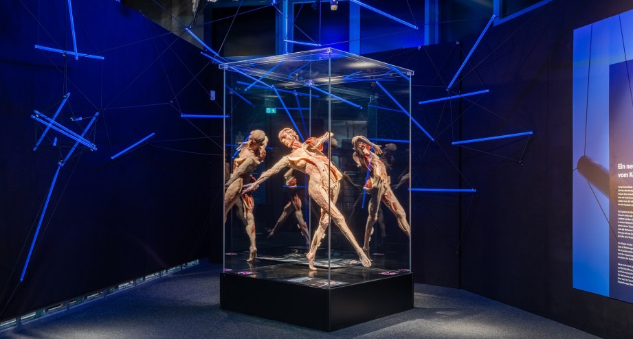 © Institut für Plastination e.K.
