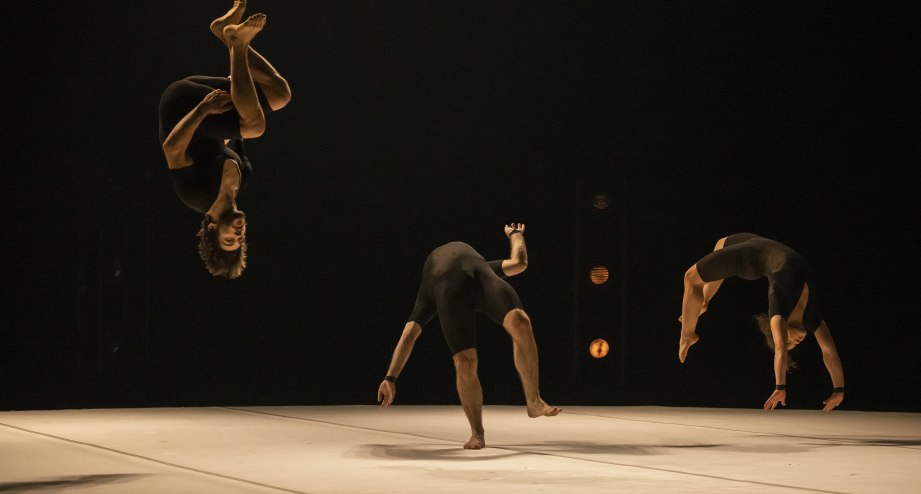 Humans2.0_Pedro Greig_6.jpg, © Pedro Greig