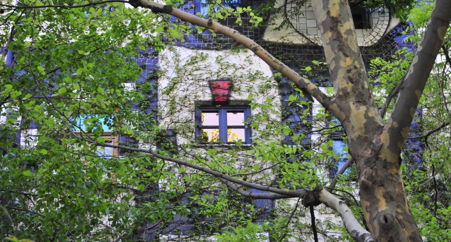 © cKunst_Haus_Wien