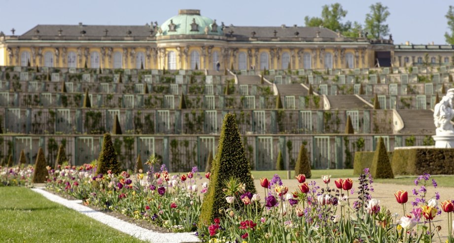 Schloss_Sanssouci, © PMSG_SPSG_A_Stiebitz