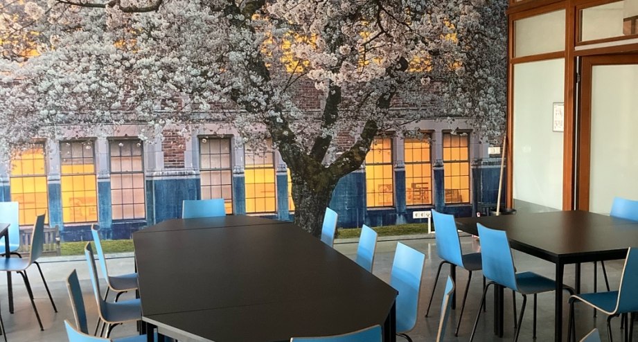 Wandlitz_Tagungsraum Wandlitzsee.jpg, © DJH Wandlitz