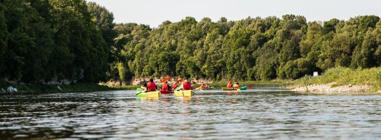 Paddeltour an der Donau, &copy; GettyImages TruePixelArt